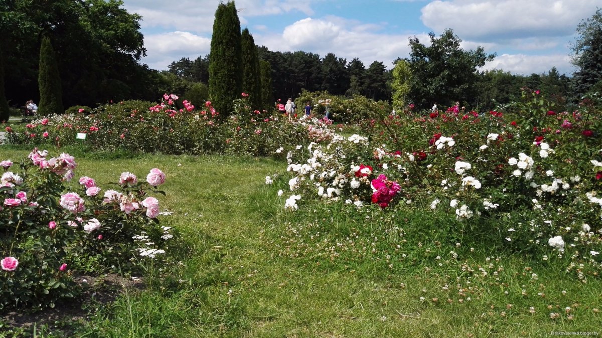 Минский Ботанический сад