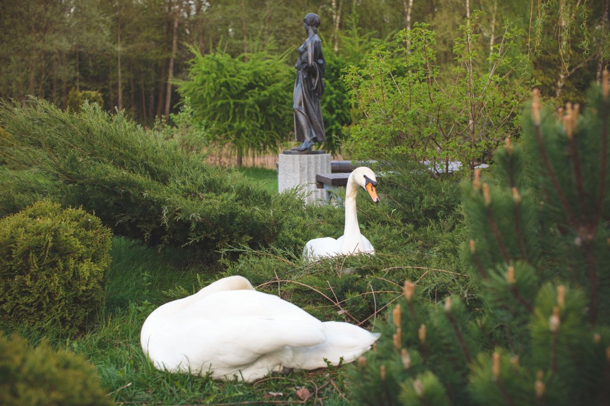 Белоруссияботаничесеий сад