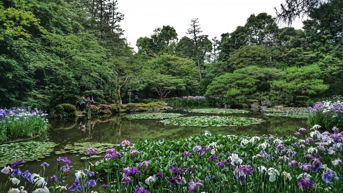 Сквер на Ботаническом саду