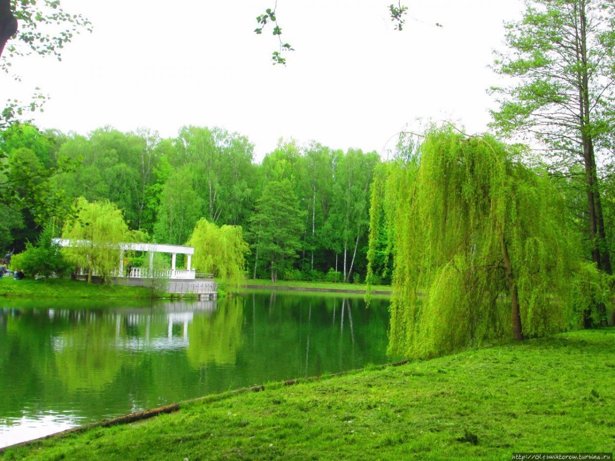 Белоруссияботаничесеий сад