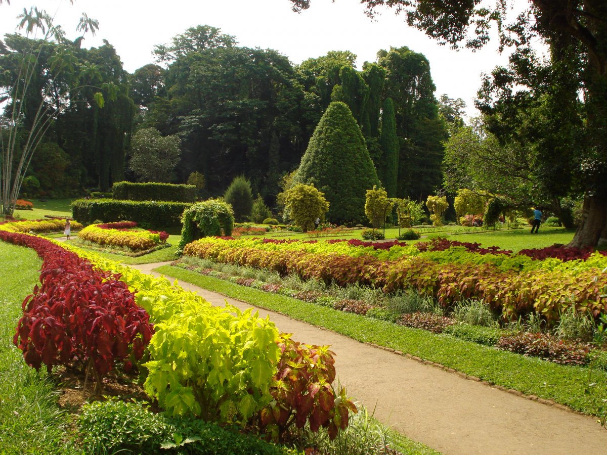 Ботанический сад Тамбов