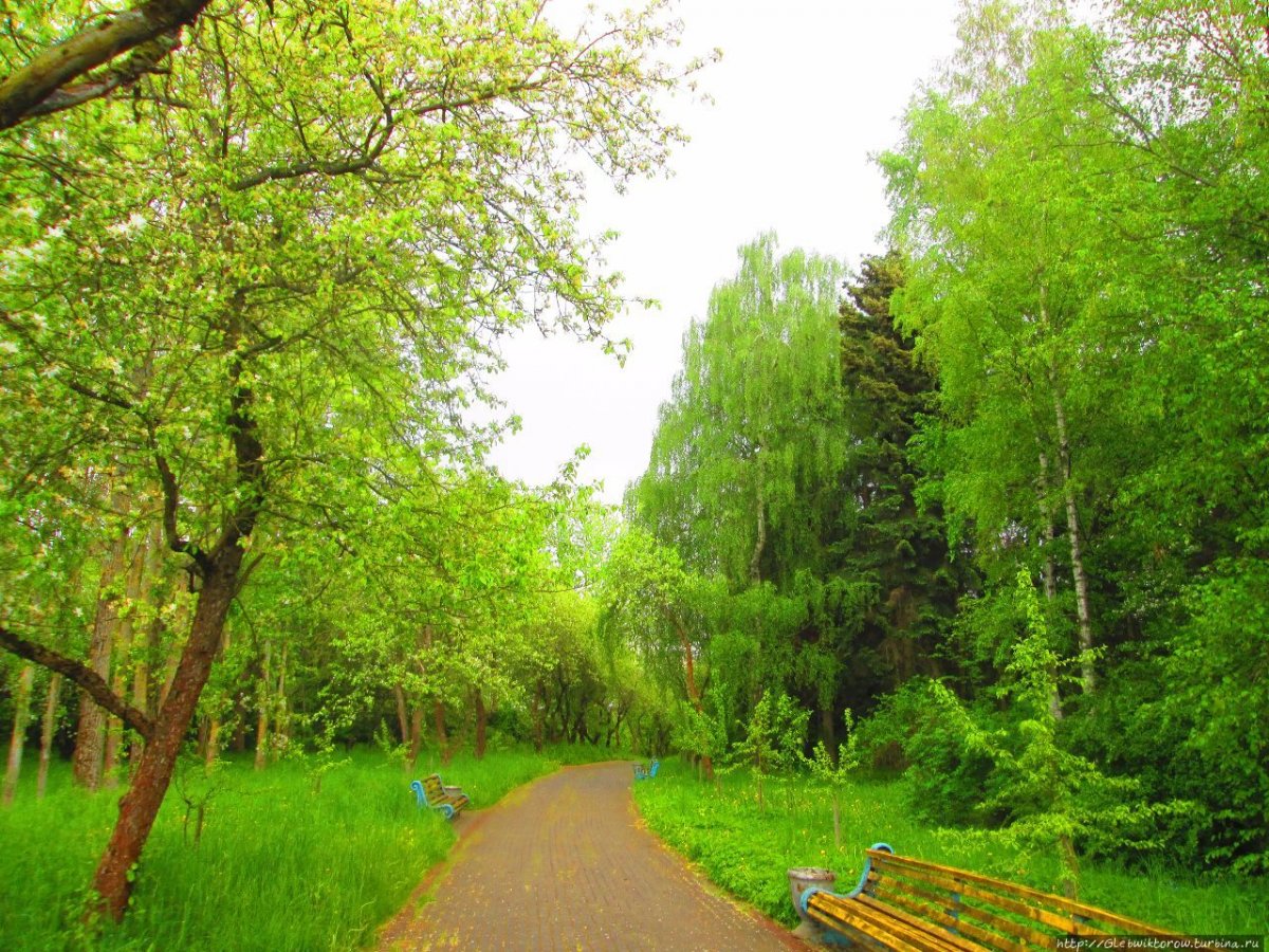 Центральный Ботанический сад национальной Академии наук Беларуси