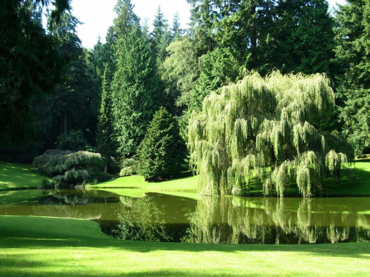 Ботанический сад (Дрезден)