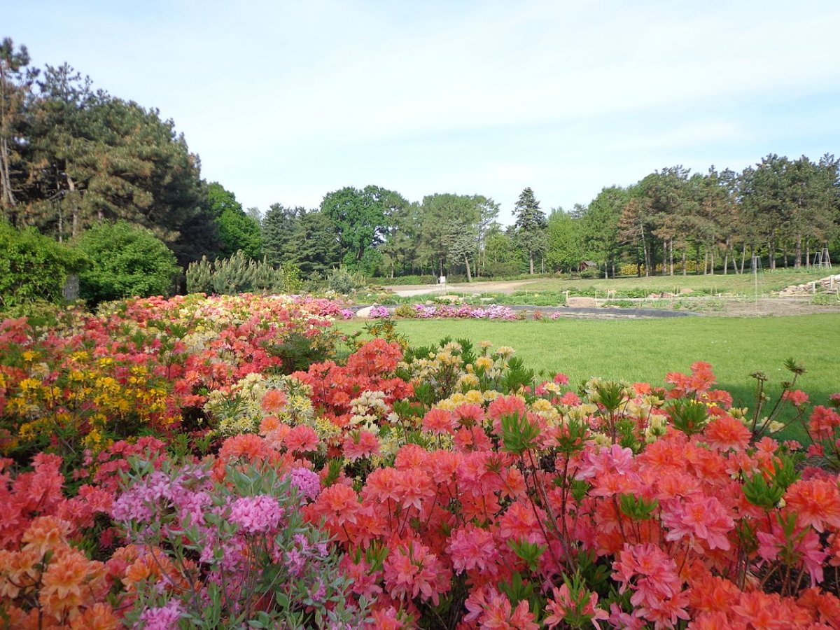 Ботанический сад им Гришко