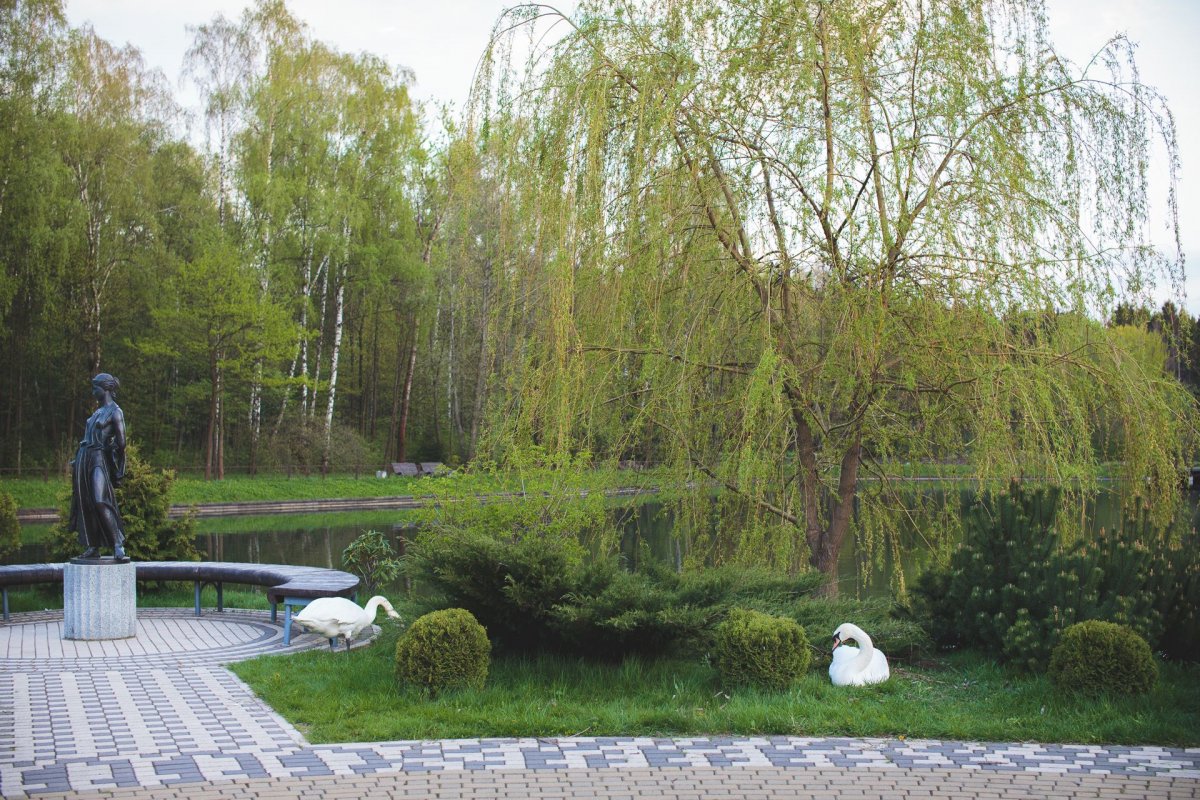 Ботанический сад Рязань