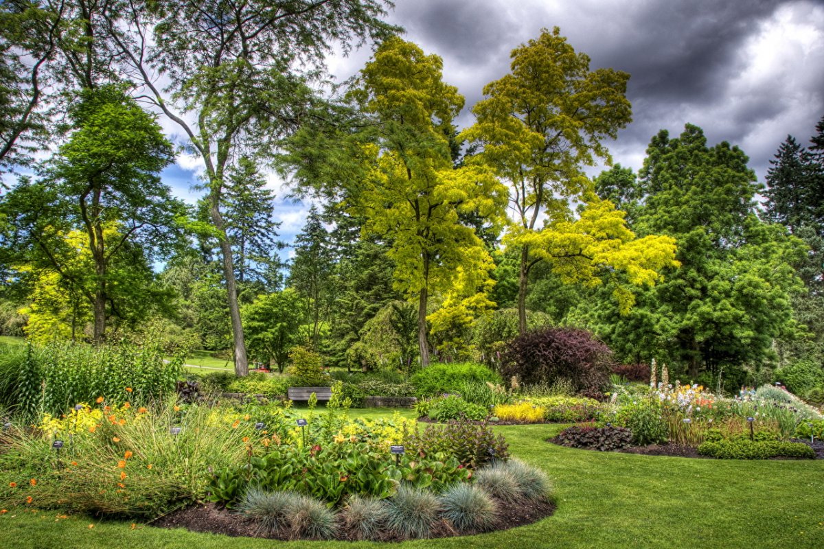 Ботанический сад из деревьев