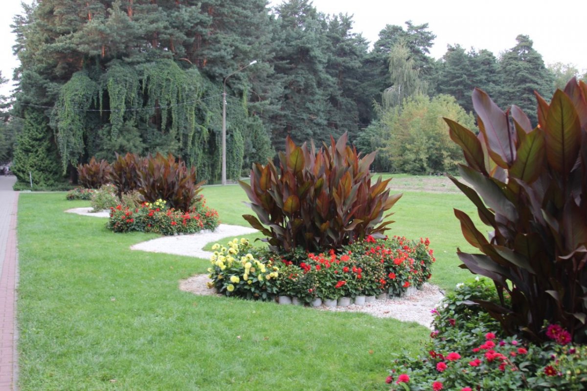 Ботанический сад МГУ ВДНХ