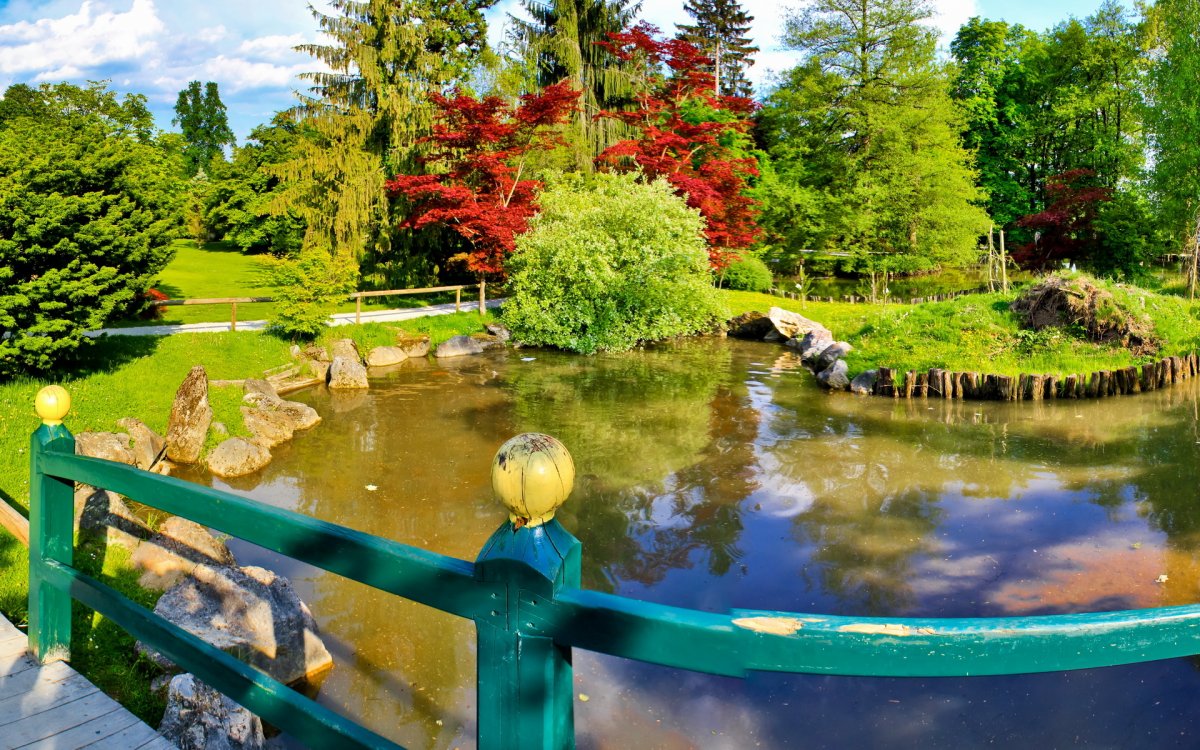 Перадения Ботанический сад Шри Ланка