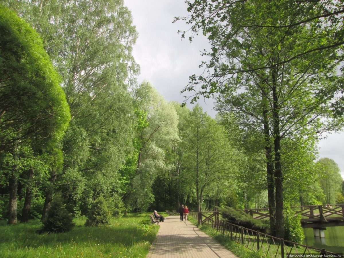 Центральный Ботанический сад национальной Академии наук Белоруссии