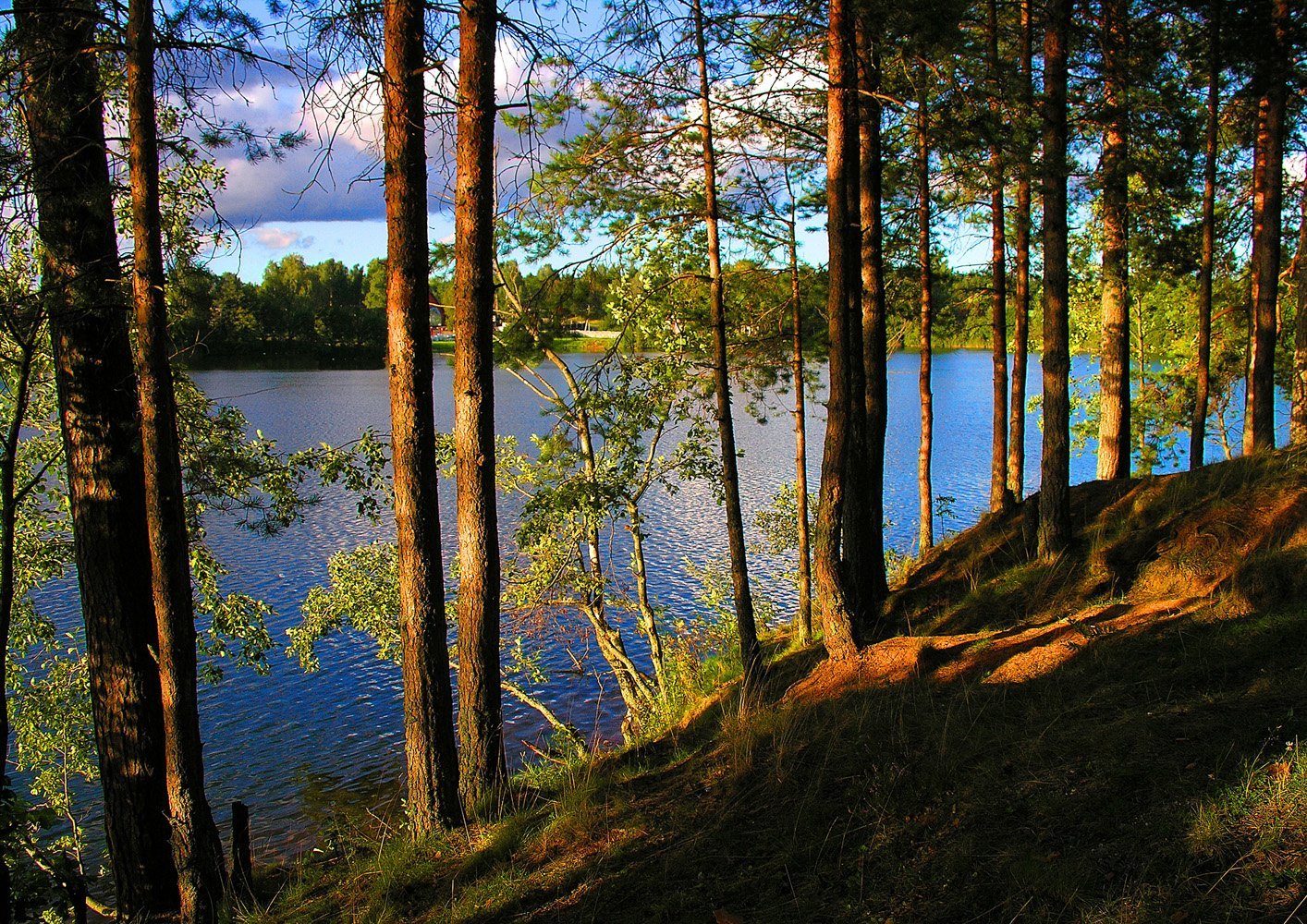 Реки и озера ленинградской. Озеро светлое ЛЕНОБЛАСТЬ. Озеро светлое Будогощь. Озеро светлое Токсово. Озеро зеленое Будогощь.