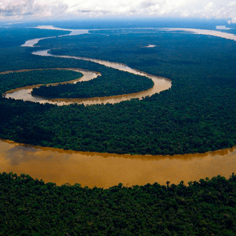 Амазонка какое устье