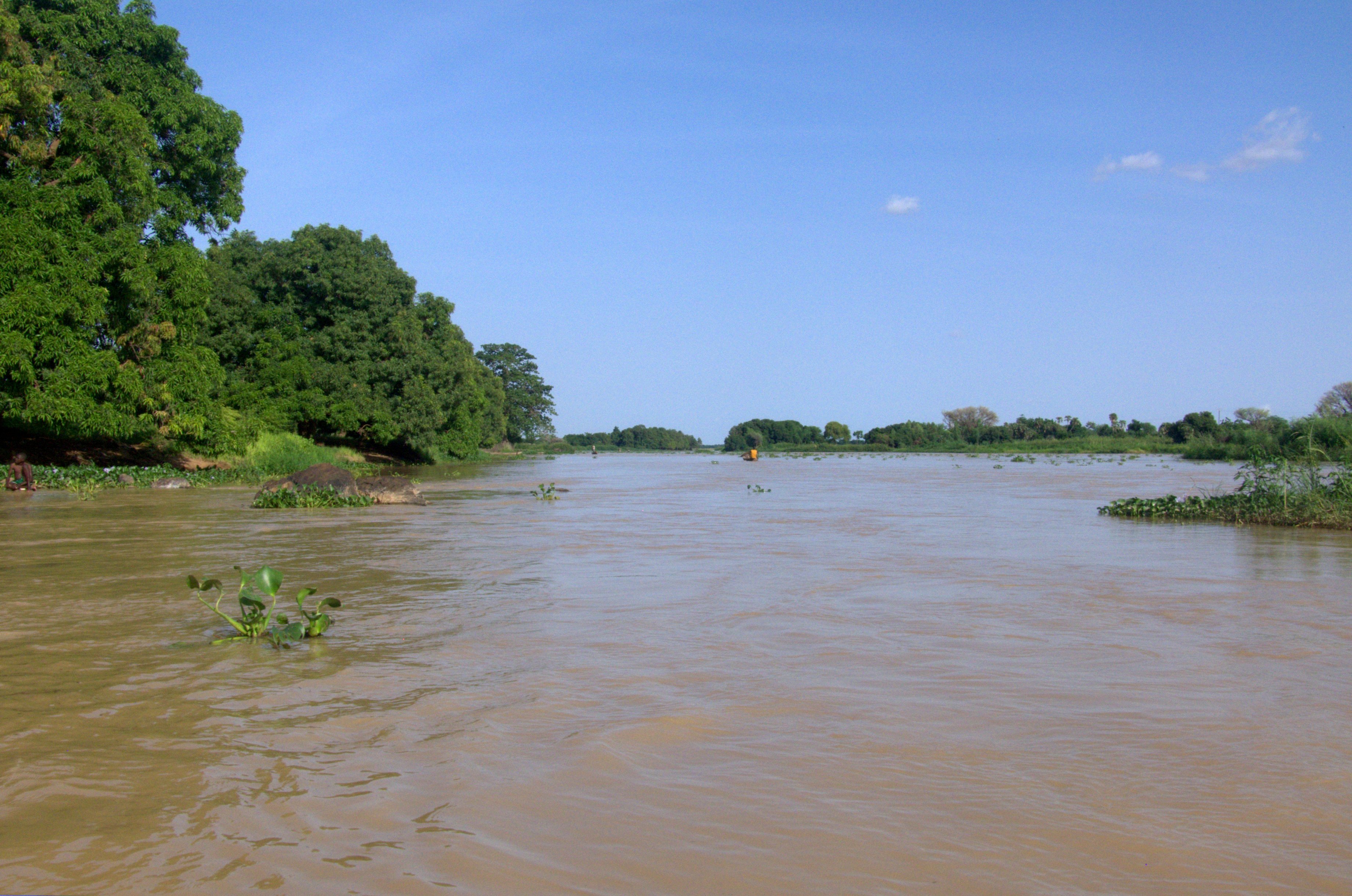 Реки и озера нигерии. Река Бенуэ. Дельта реки нигер, Нигерия. Реки Бенуа Африка. Бéнуэ река.