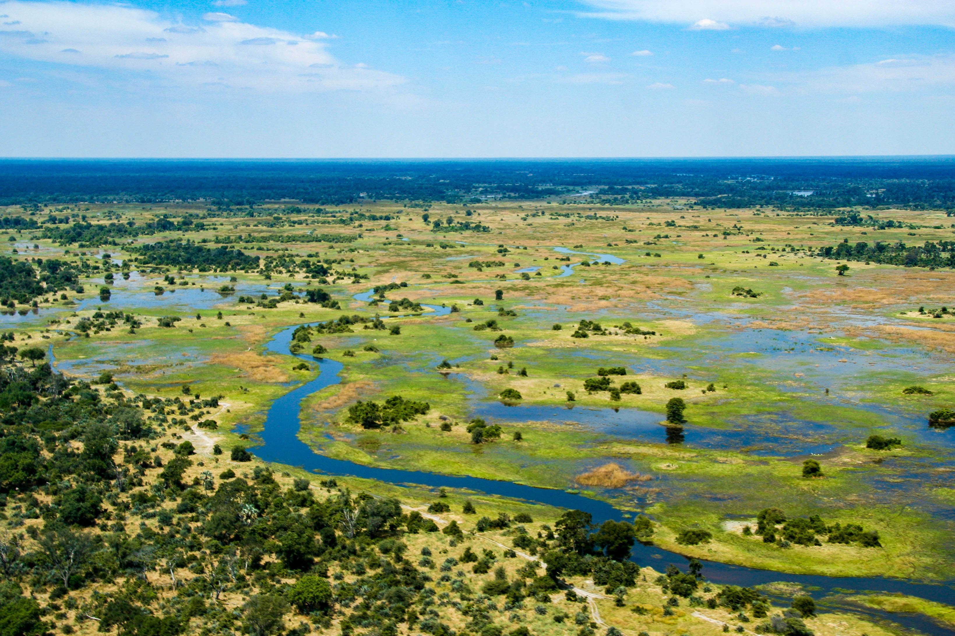 Озеро ливингстона африка. Дельта Окаванго Ботсвана. Дельта реки Окаванго. Дельта Окаванго Африка. Нац парки Ботсвана Дельта Окаванго.