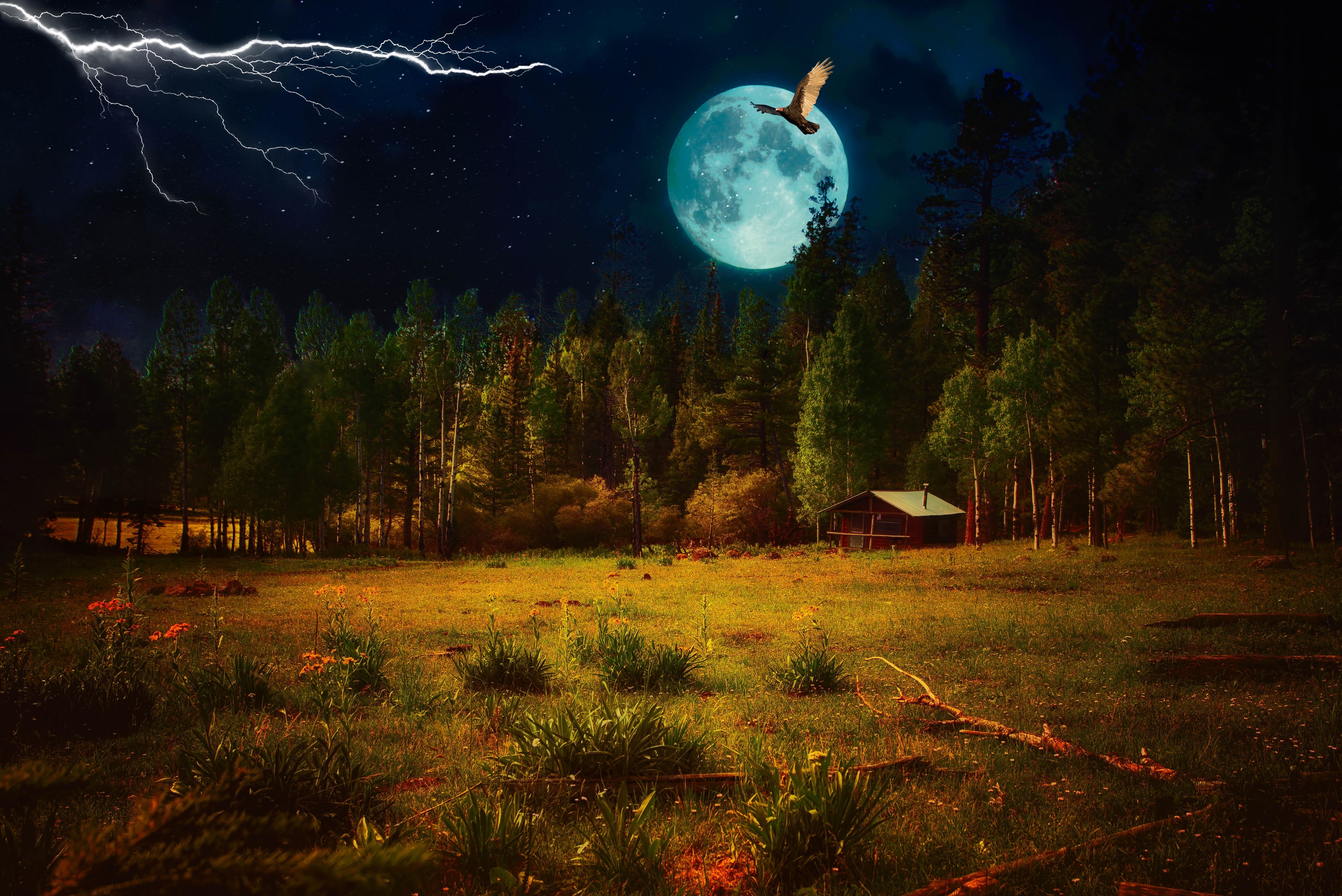 Луна над полями. Ночной пейзаж. Лунная ночь. Ночной лес. Ночной лес с луной.