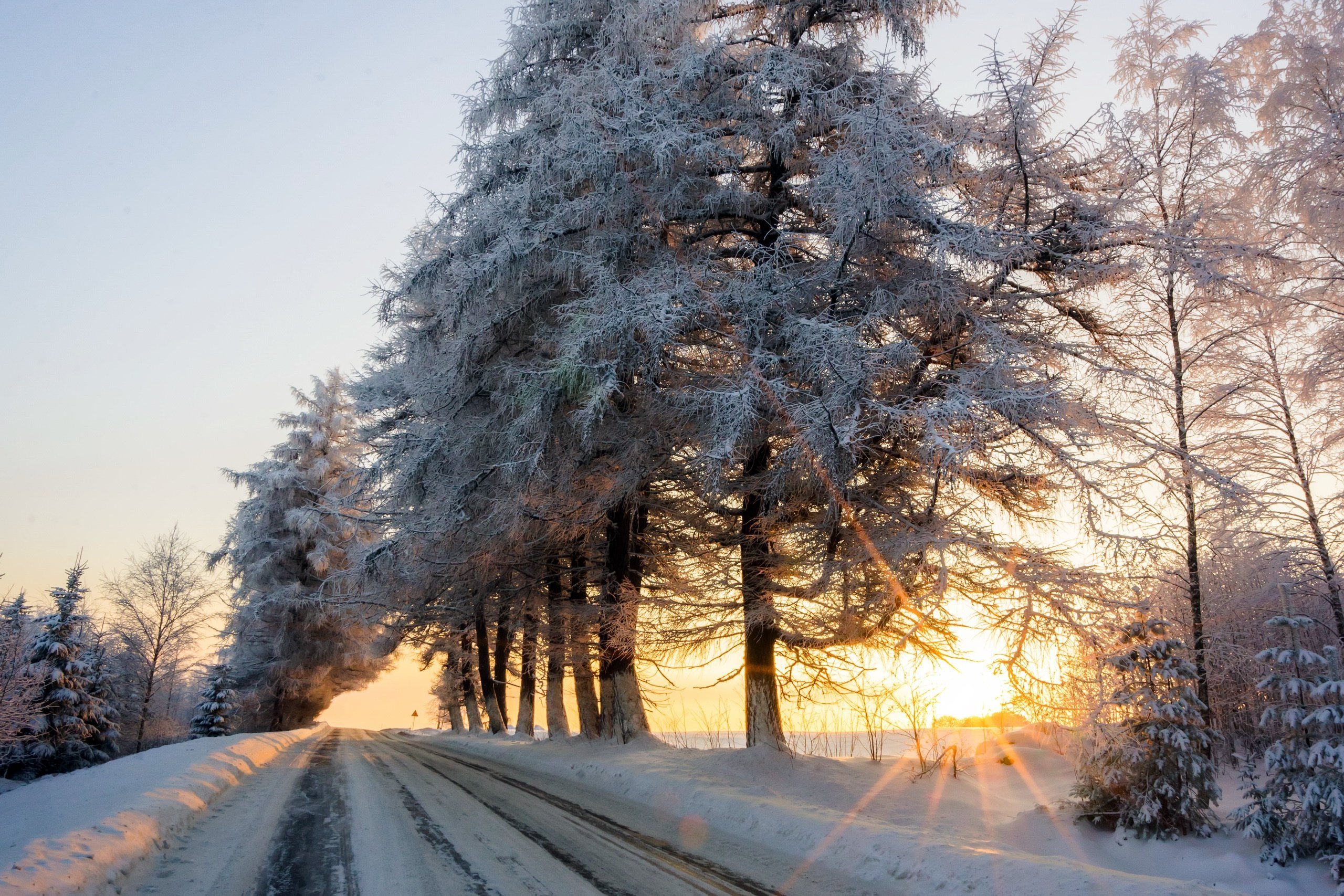 Зимнее утро дорога. Зимняя природа. Зимнее утро. Снежное утро. Зимняя дорога.