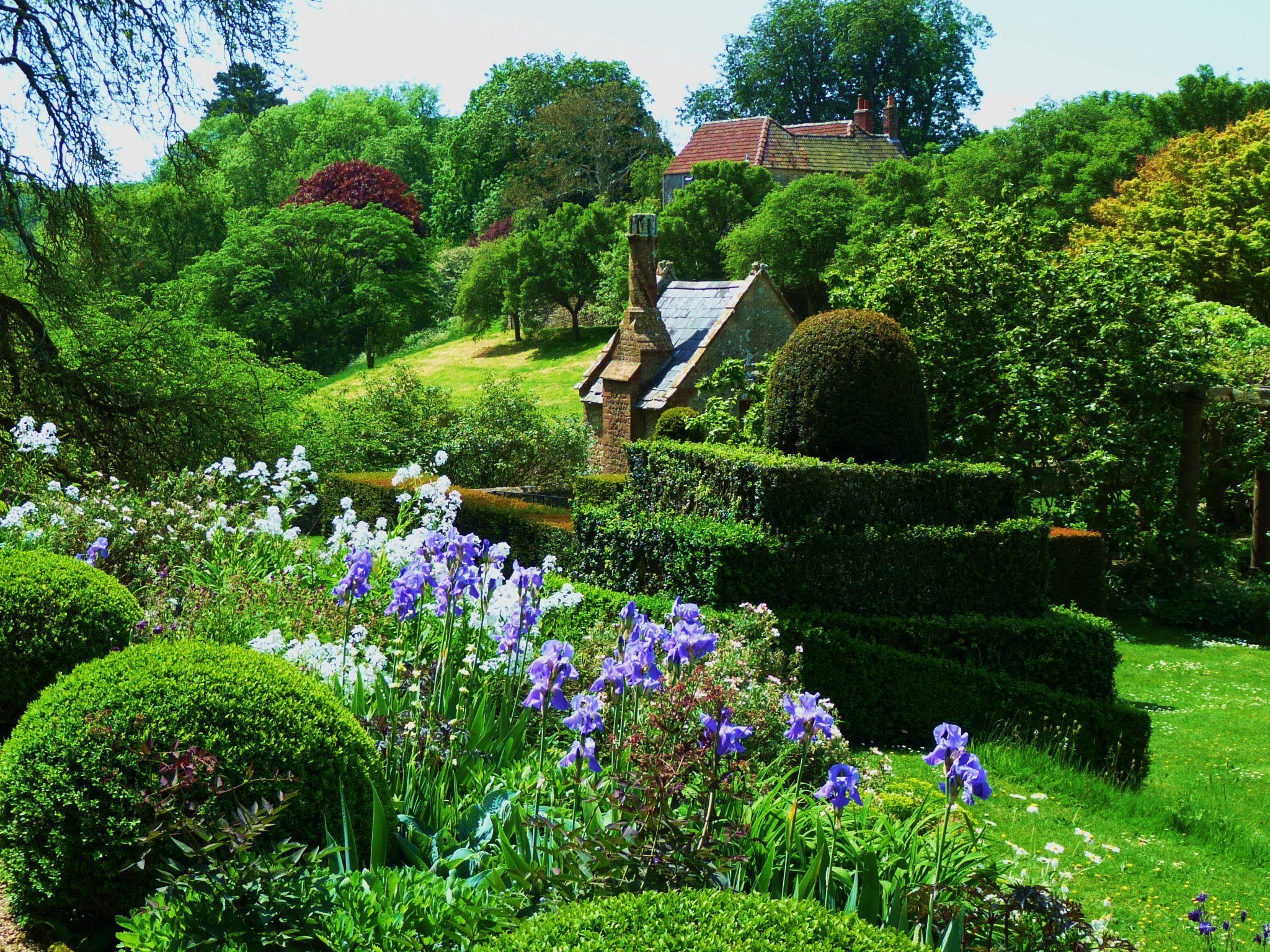 Английский парк картинки. Англия деревня кэмбэлфорд ланшадф садов. Сад в Дорсете Англия. Гарден парк Англия. Сад Хью Гарден.