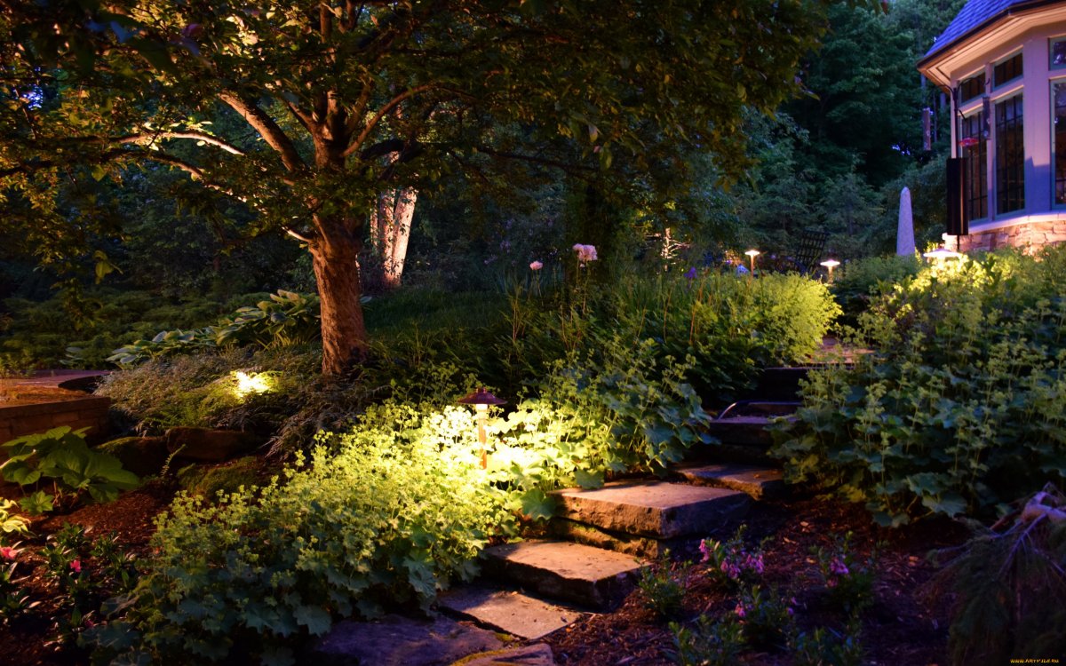 Вечерний сад
