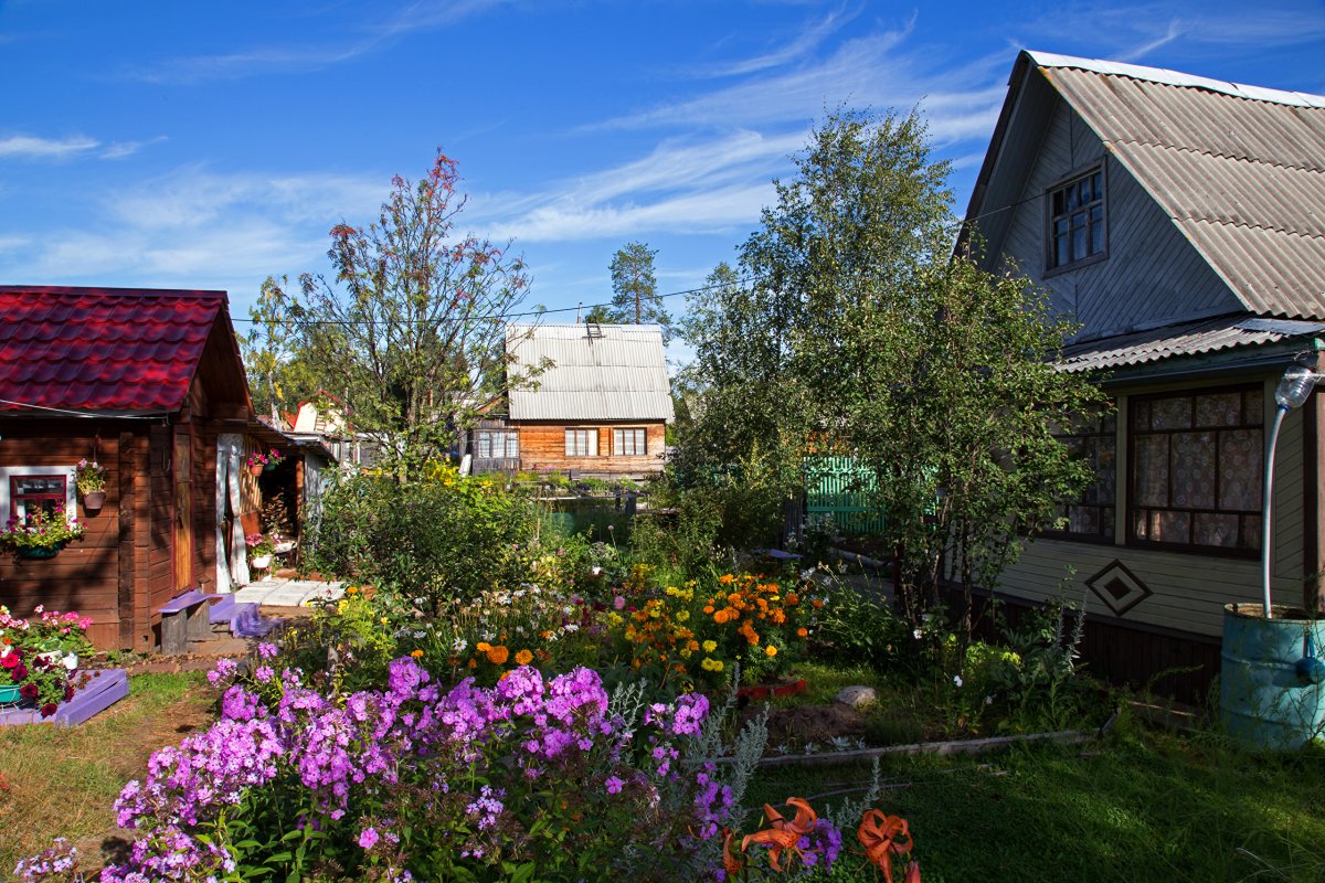 Деревенский домик с огородом