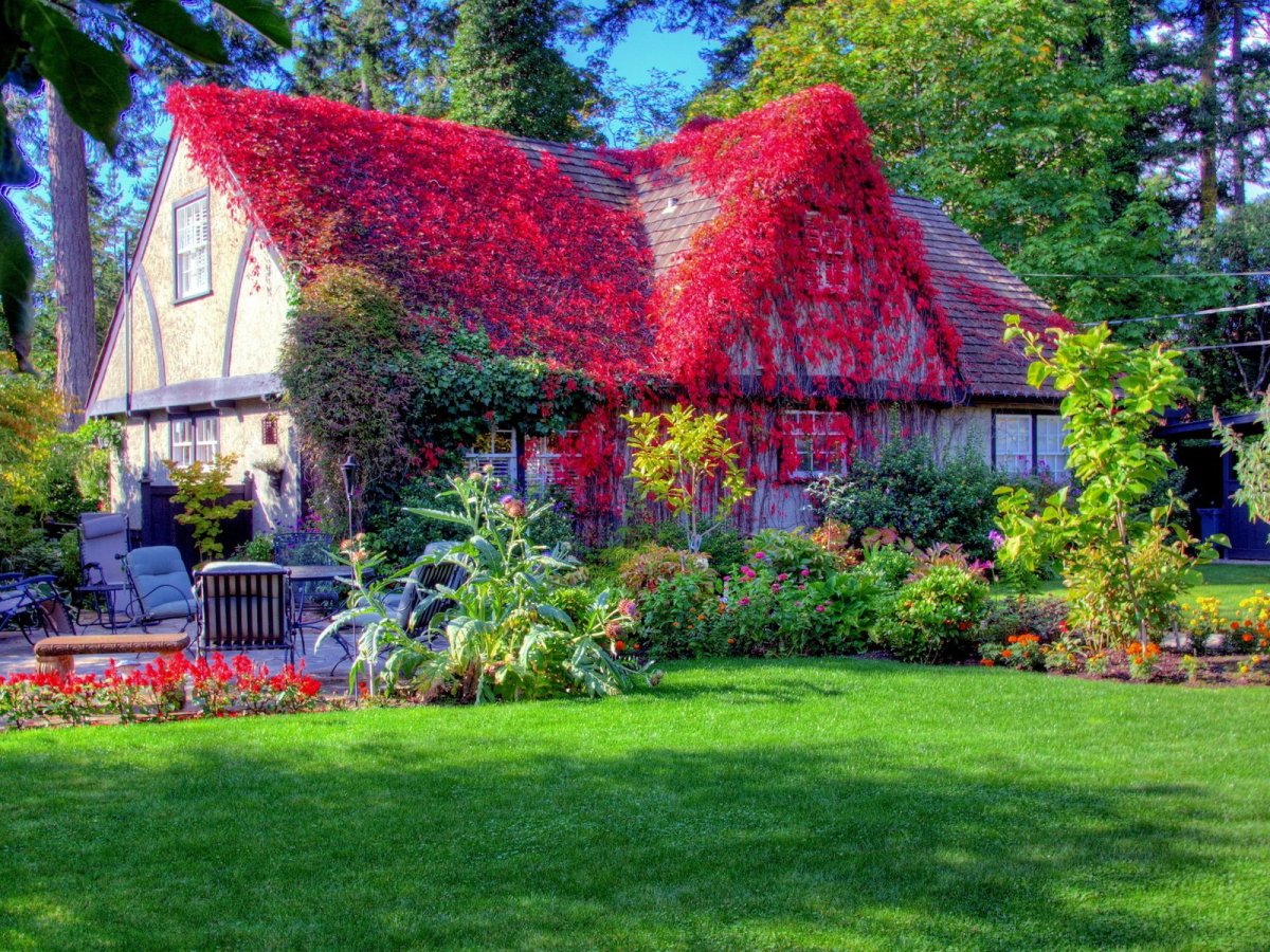 Домик утопающий в цветах