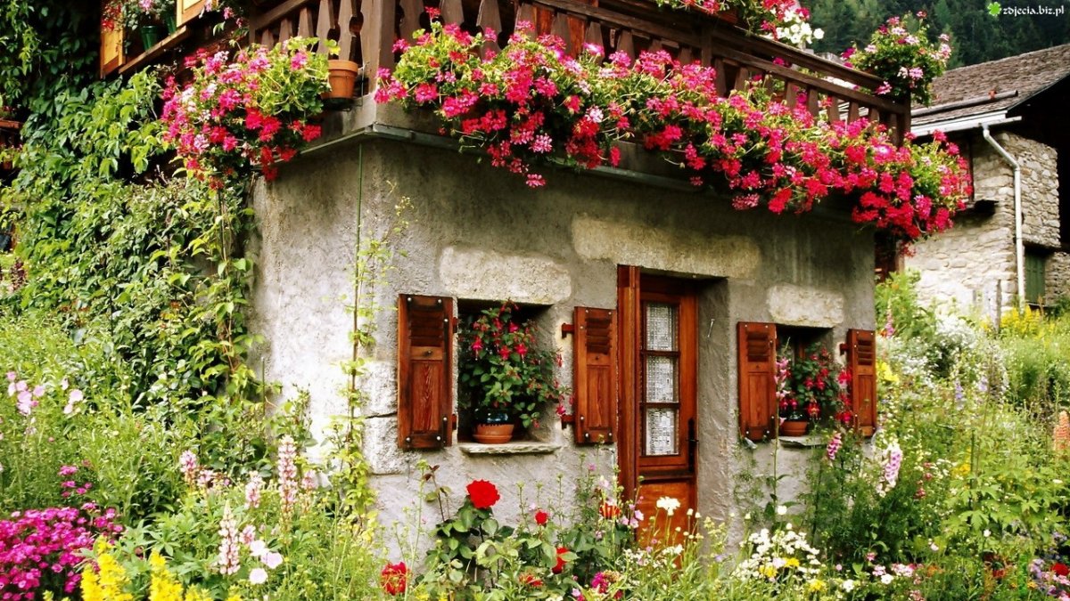 Уютный домик в цветах