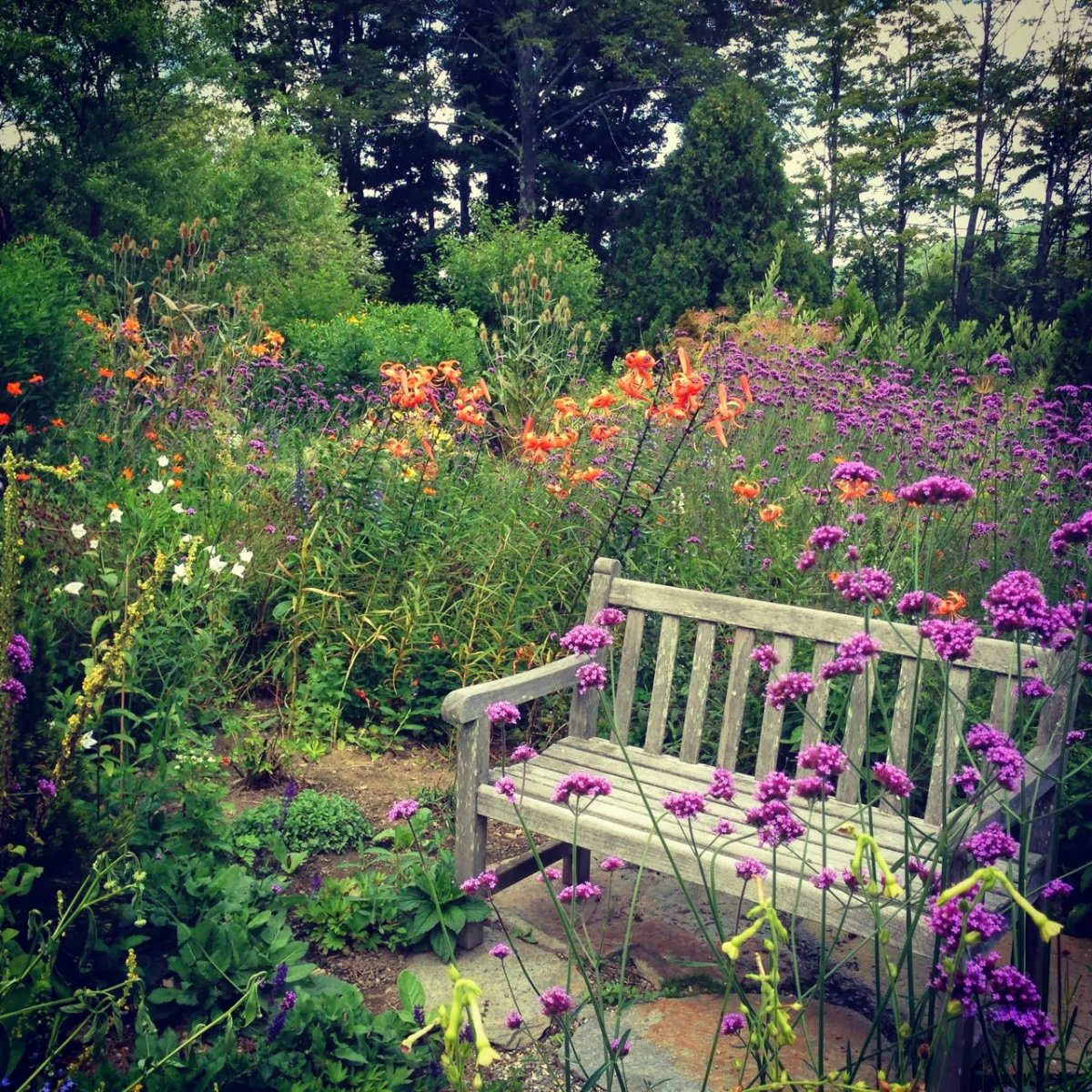 Сад в природном стиле