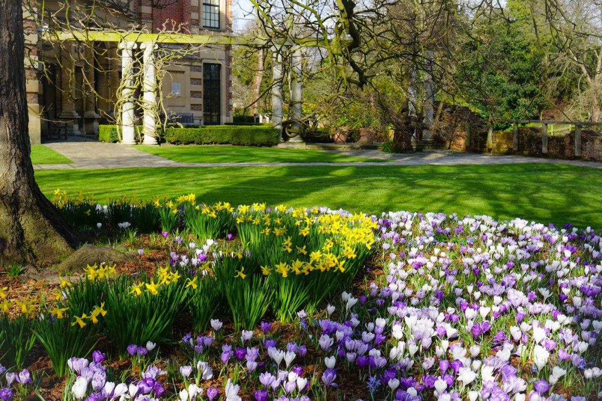 Весенний сад