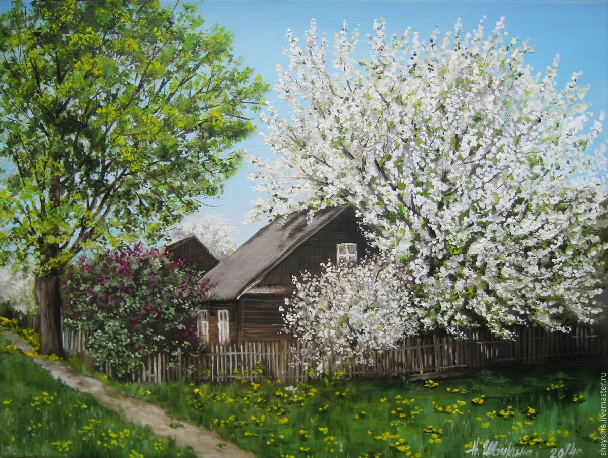 Летний деревенский пейзаж Наталья Шайкина