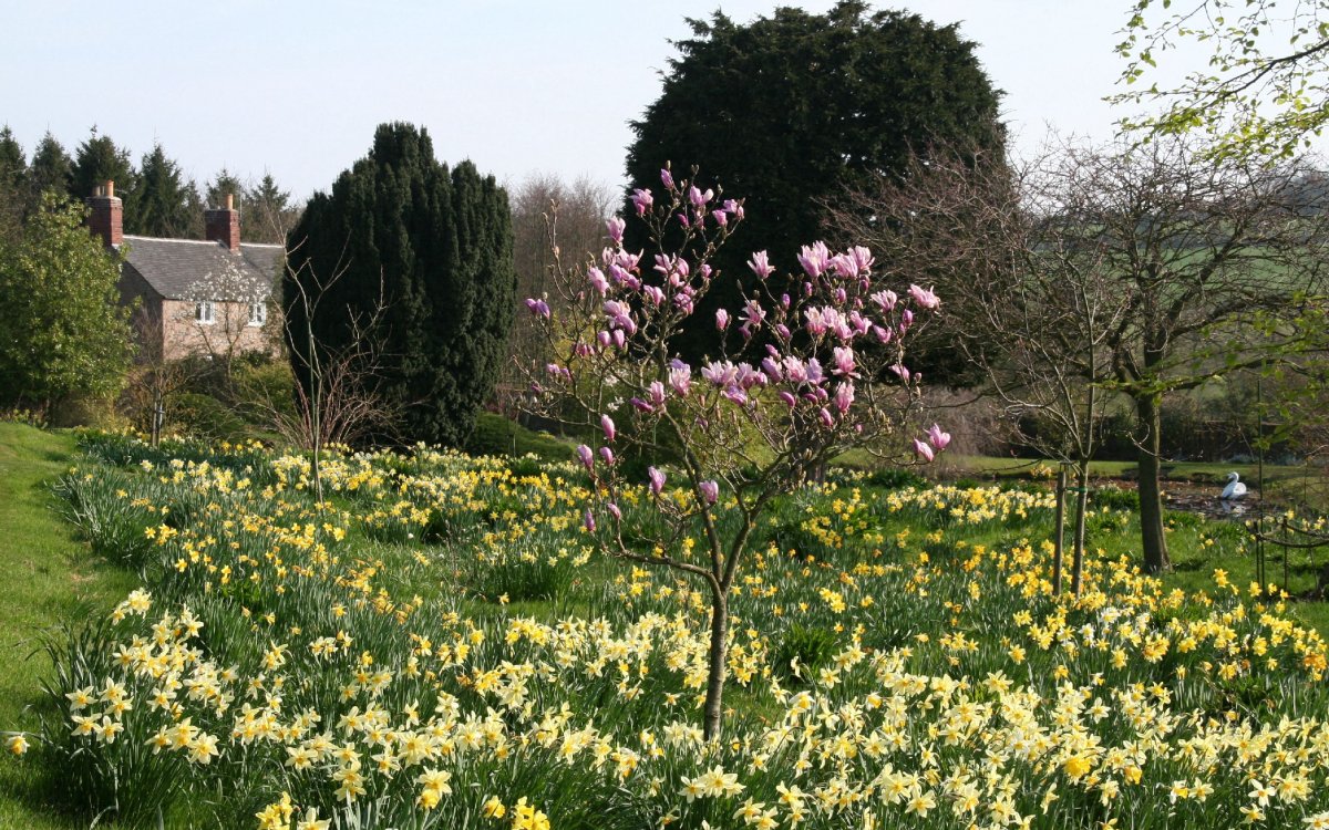 В Ботаническом саду растения цветущие
