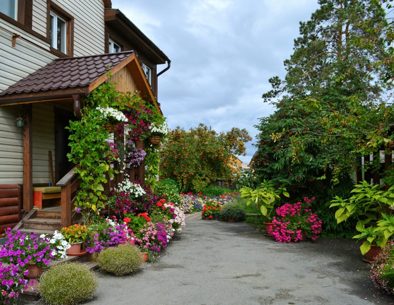 Загородные дома летом. Красивая дача. Красивые дачные Дворики. Красивый домик с садом. Красивый деревенский дворик.
