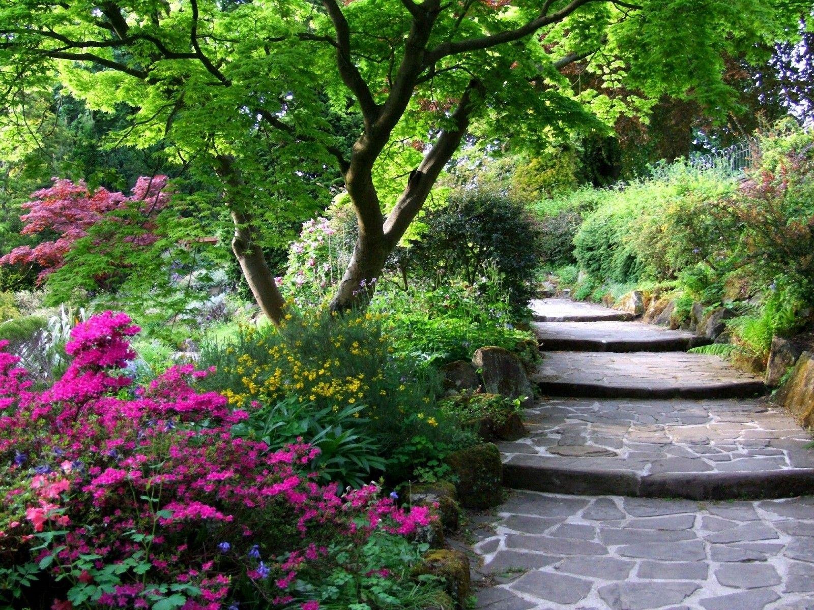Блог сада. Ступеньки в саду. Красивый сад. Дорожка в сад. Красивые лестницы в саду.