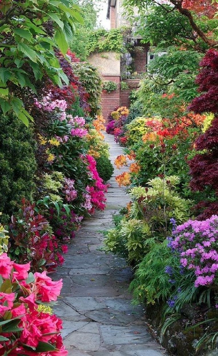 Сток растения. Красивый сад. Цветы в саду. Цветочный сад. Тропинки в саду.
