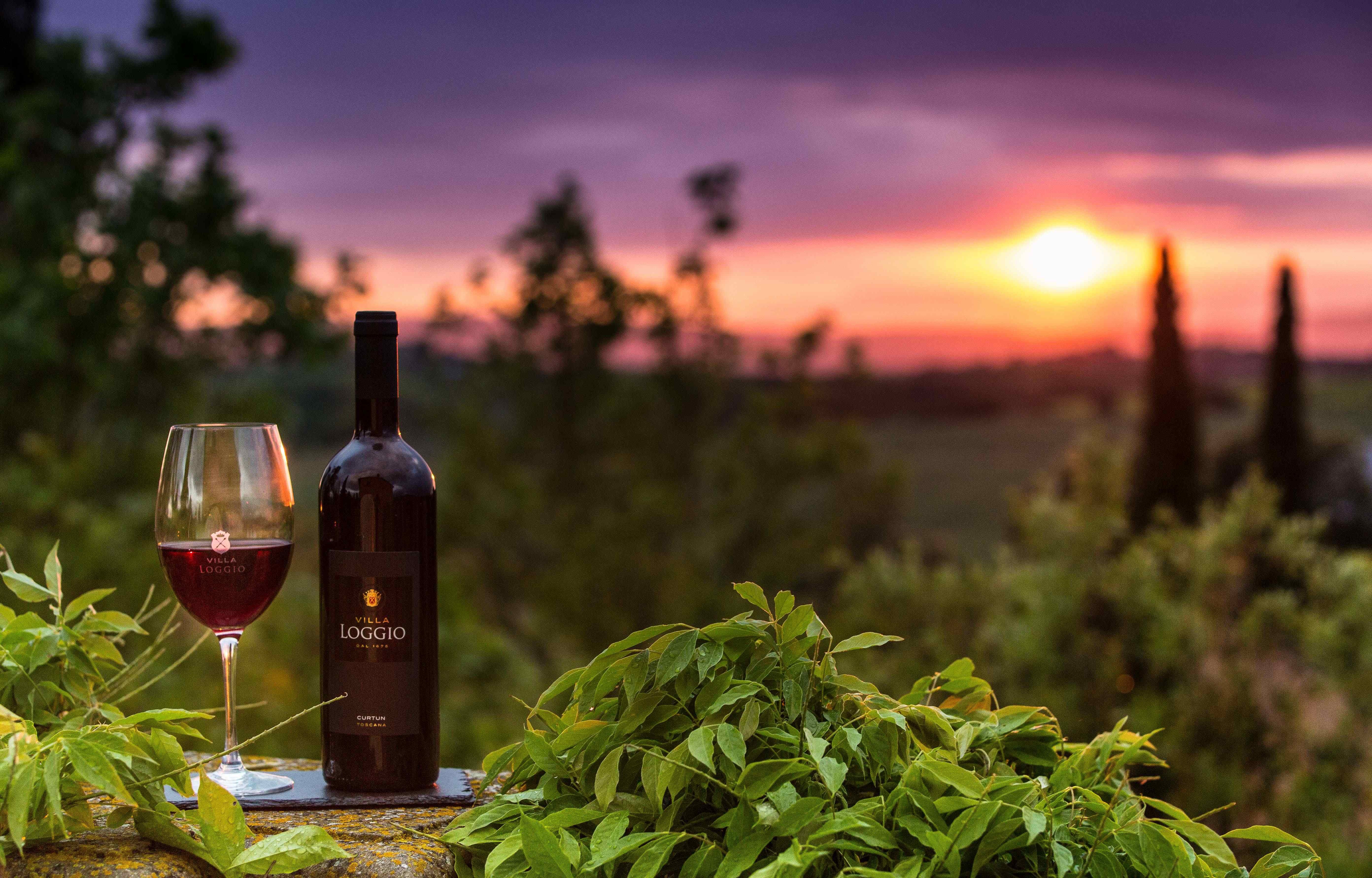 Vino. Вино Тоскана. Вина Тосканы Италия. Вино на природе. Вино пейзаж.