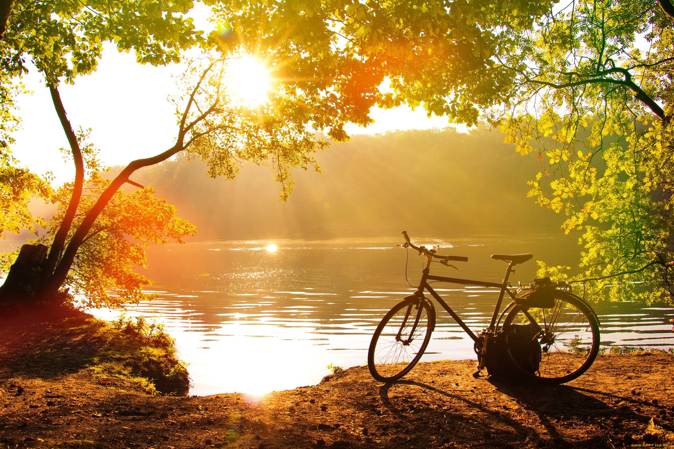 Добрый пейзаж. Пейзаж. Пейзаж с велосипедом. Велосипед осень. Велосипед осенью.