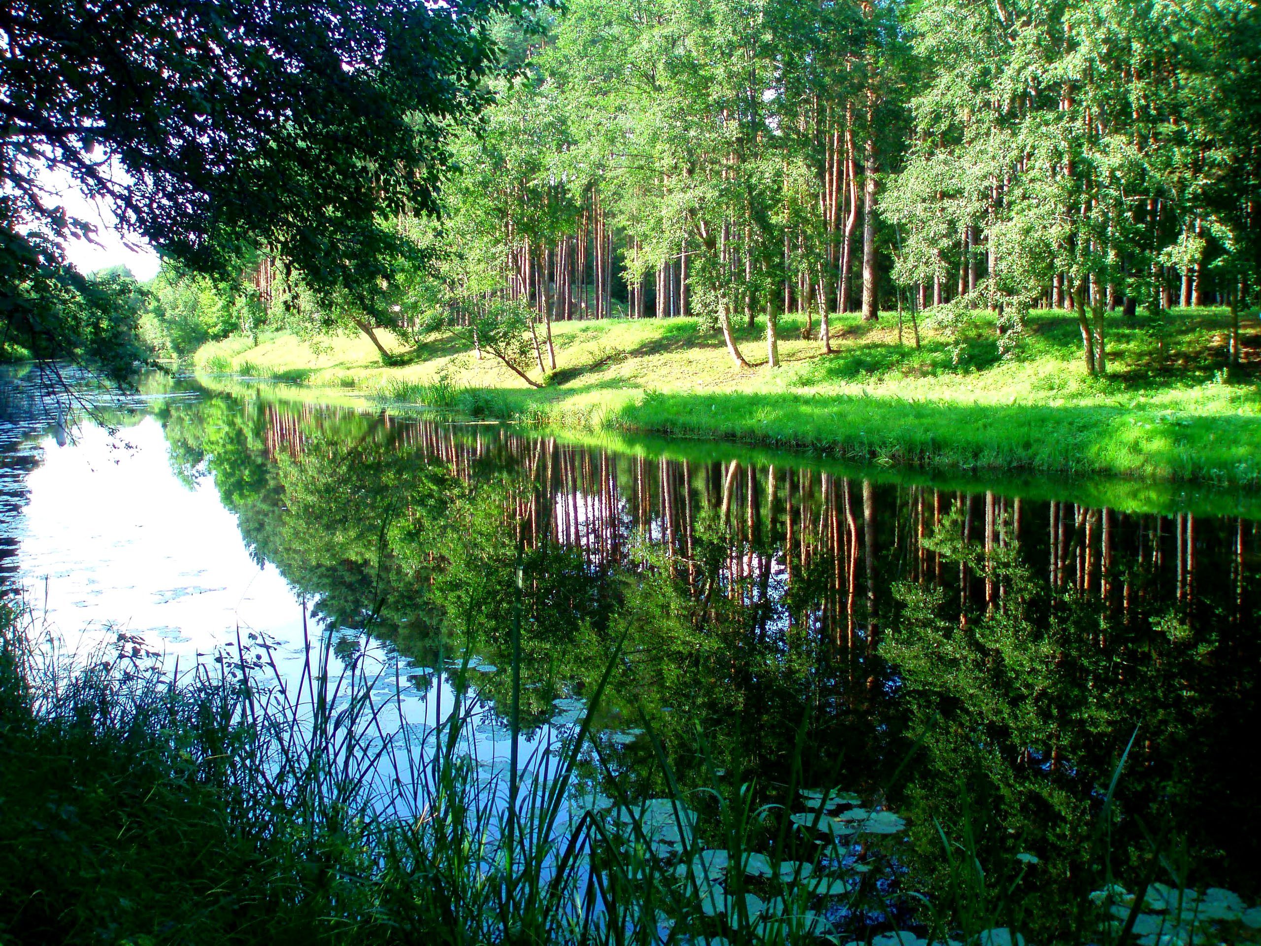 Т д беларусь. Литва природа. Голубое озеро Литва. Леса Литвы. Беларусь природа.