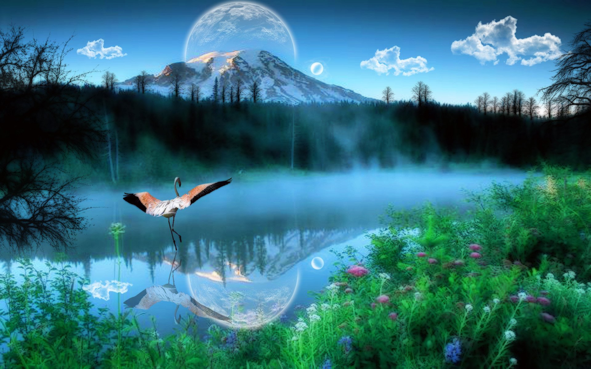 Красивый мир рядом. Балет волшебное озеро Лядов. Красота природы. Сказочное озеро. Прекрасный мир природы.
