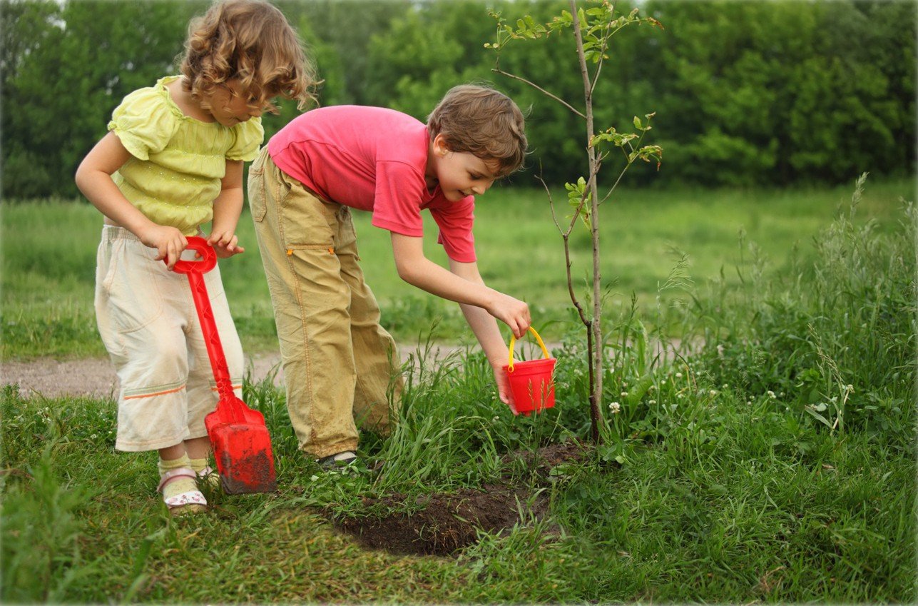 А также заботиться о. Дети и природа. Помощь природе. Любовь к природе. Дети сажают деревья.