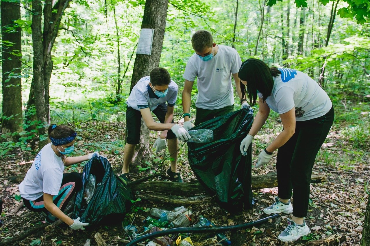 Труд людей в лесу. Волонтеры помогают природе.