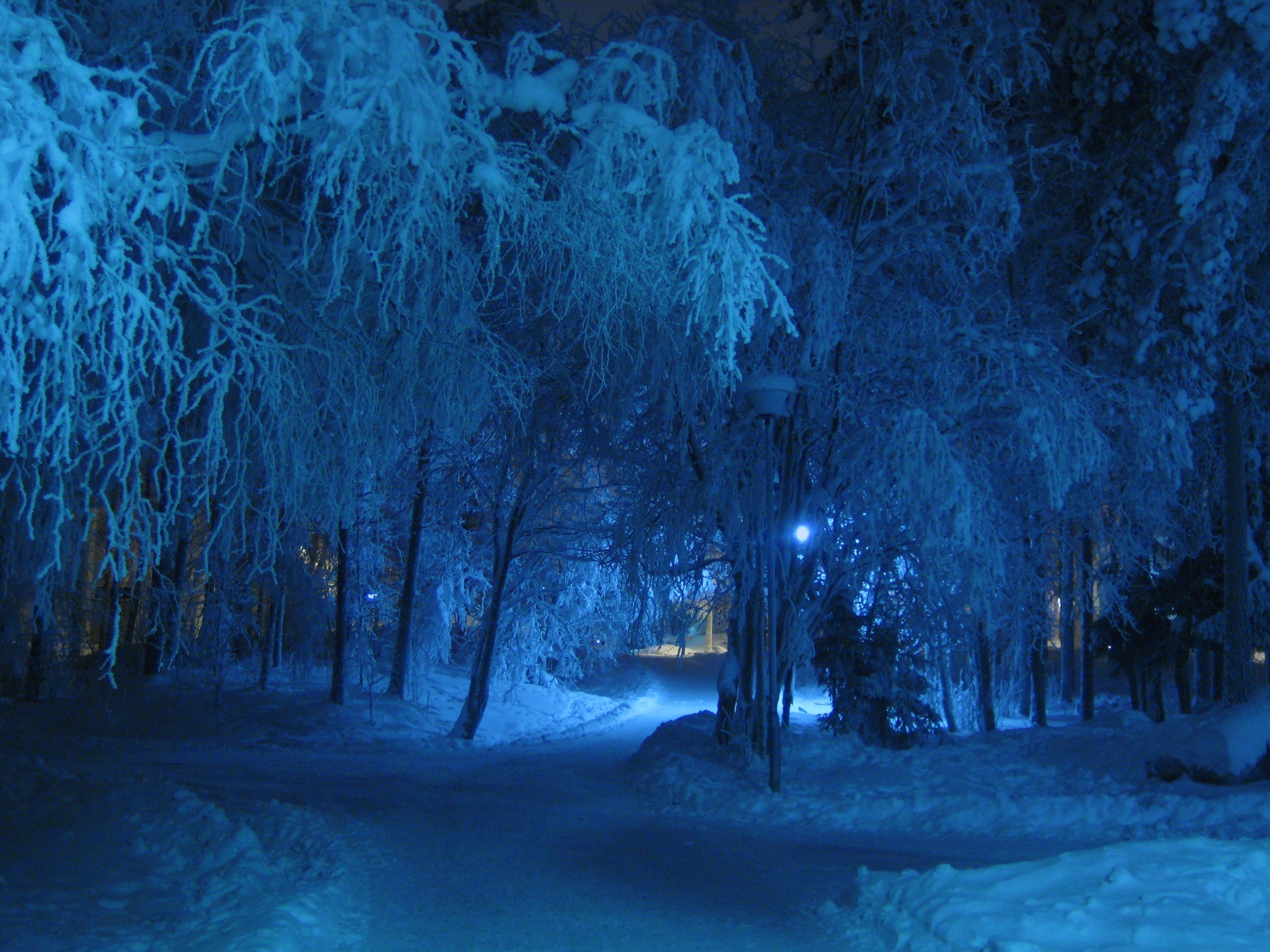 Ночные сугробы. Зимняя ночь. Зимний лес ночью. Снег ночью. Ночь зима снег.