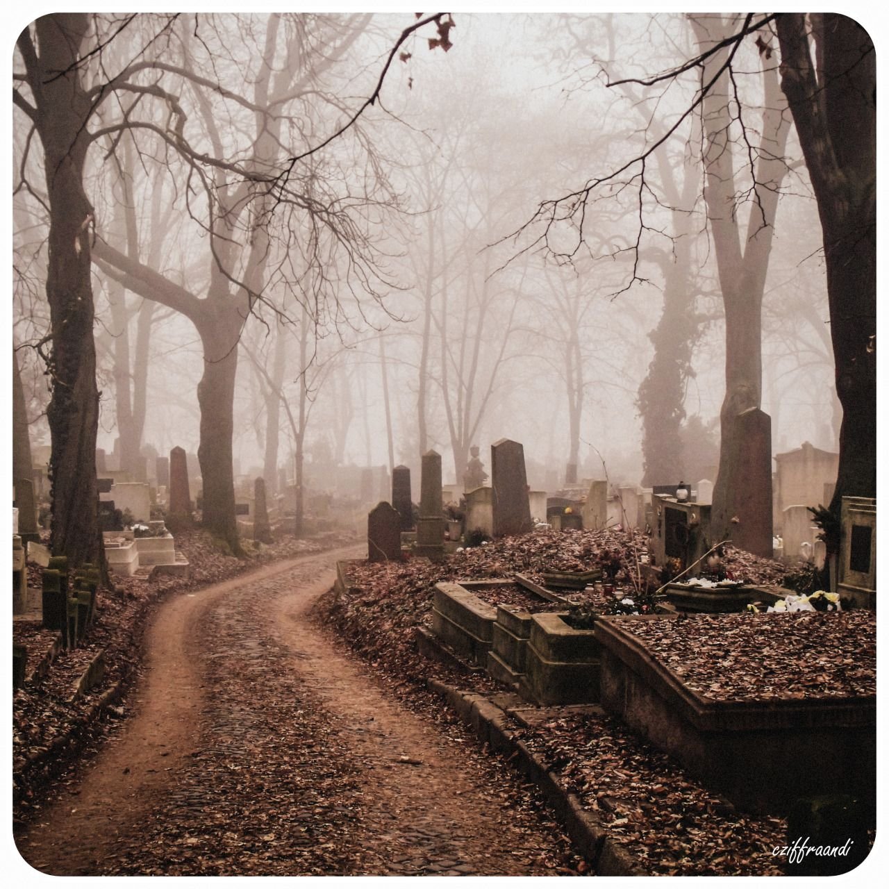 Meet you at the graveyard sovan truong. Кладбище. Мрачное кладбище. Старинное кладбище. Заброшенное кладбище.