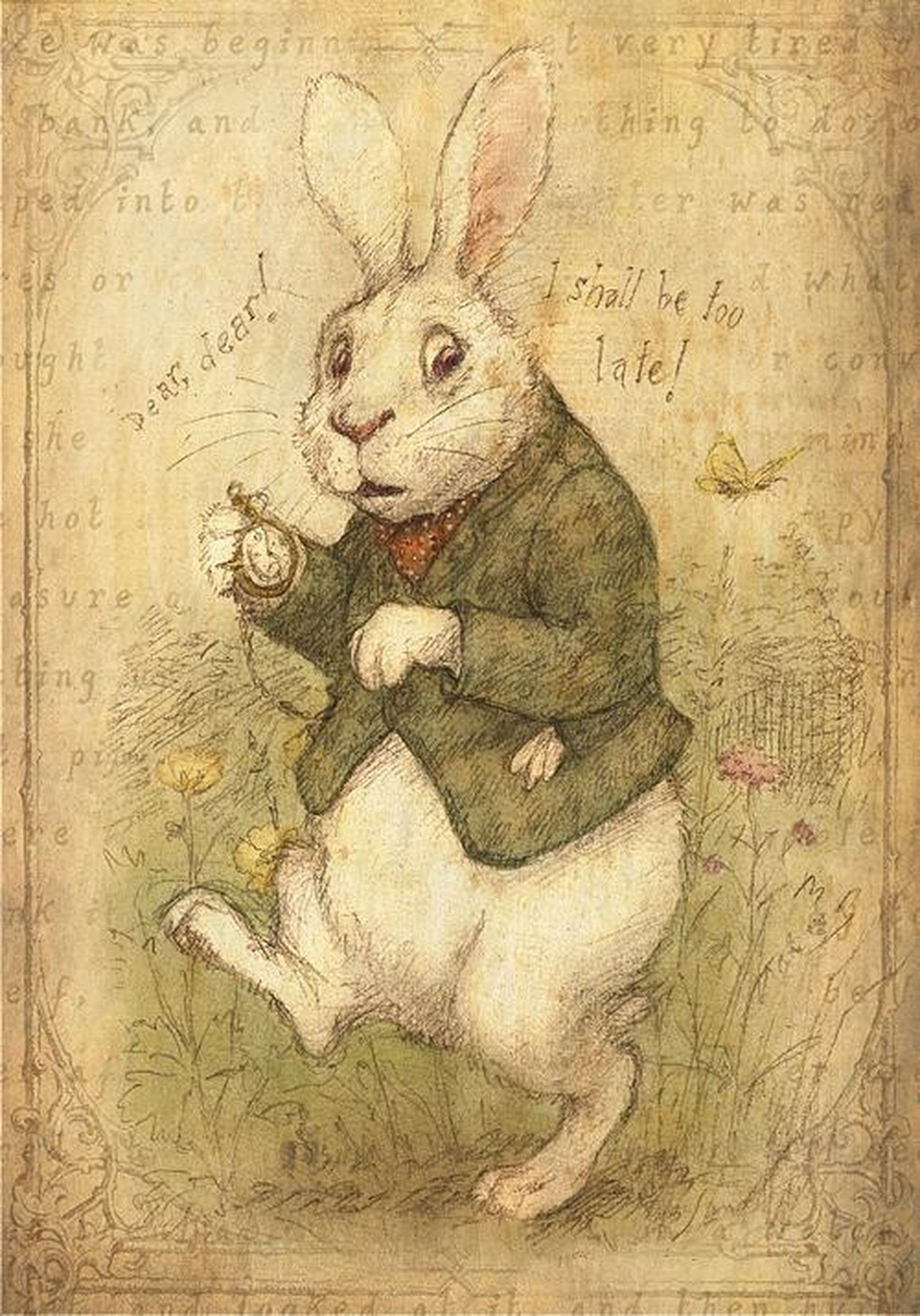 День мартовского зайца. Кролик Алиса в стране чудес рисунок. Иллюстрации Петры Браун зайцы. Петра Браун иллюстрации. Рисунок кролика из книги Алиса в стране чудес.