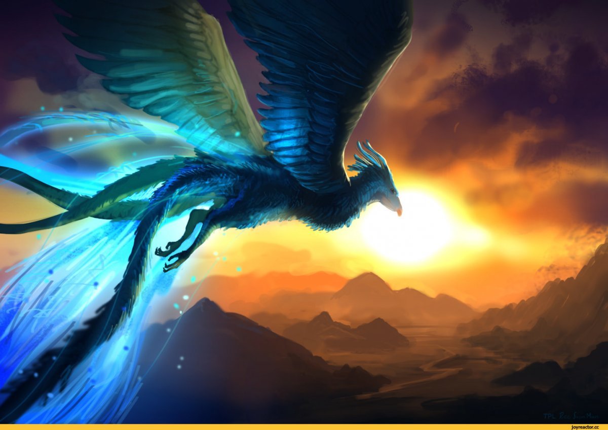 Синяя птица Феникс фэнтези