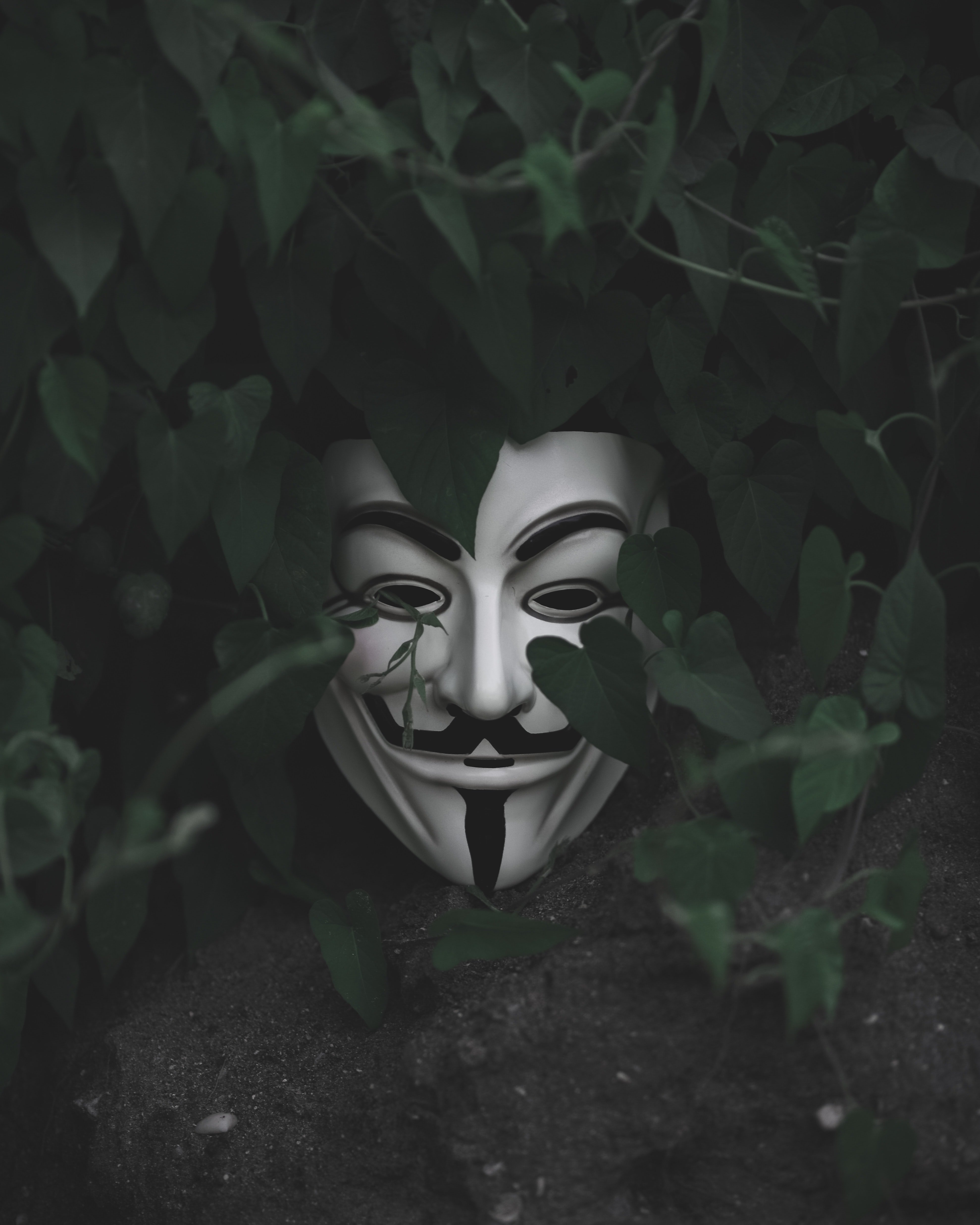 Анонимные объявления masked. Дасквуд Джейк маска. Ричи Дасквуд.