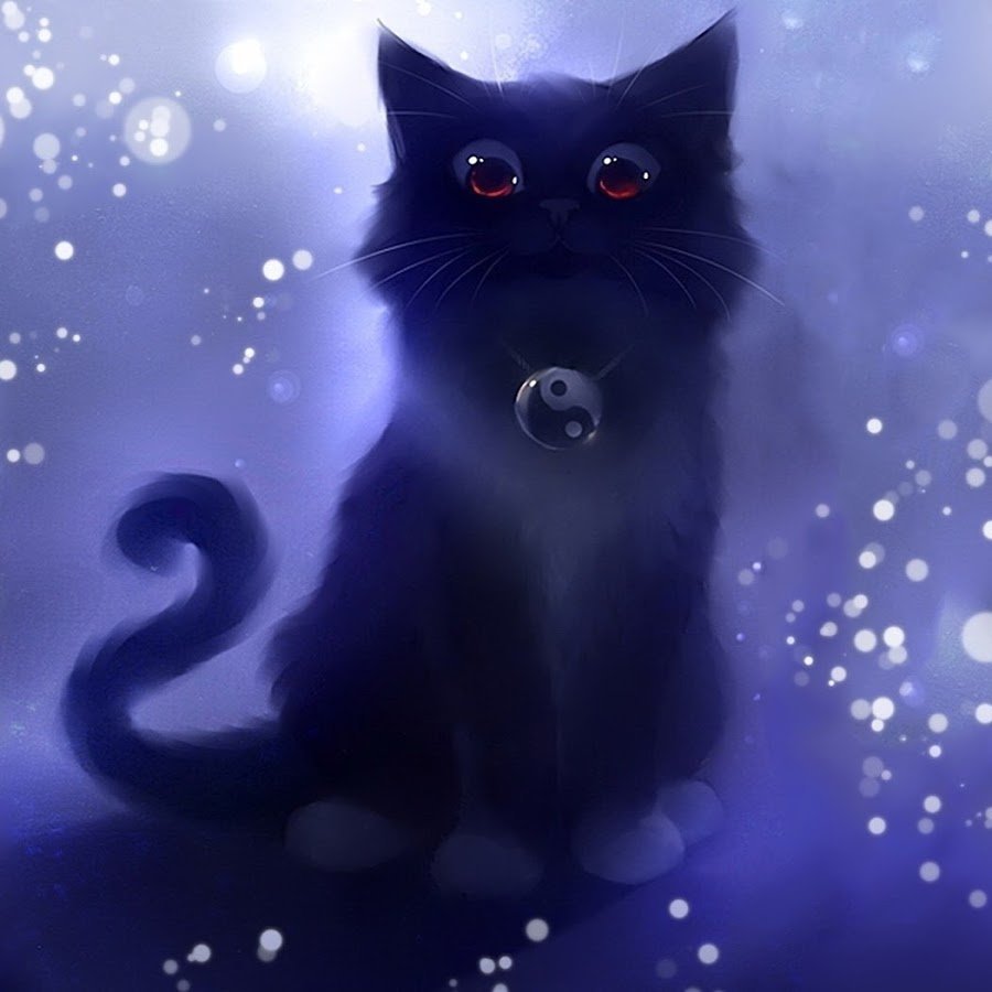 Чёрный кот аниме арт