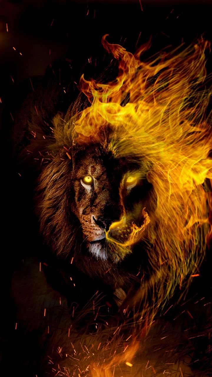 Фото огненный лев