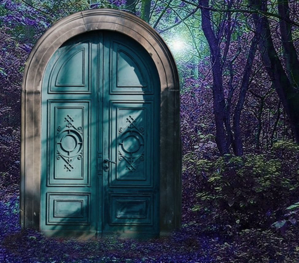 Открытые красивые двери. Дверь фэнтези. Сказочная дверь. Закрытая дверь. Красивые двери.