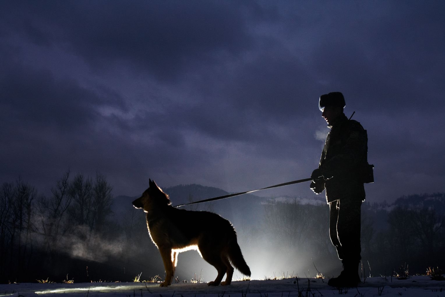 Фото пограничника с собакой на границе