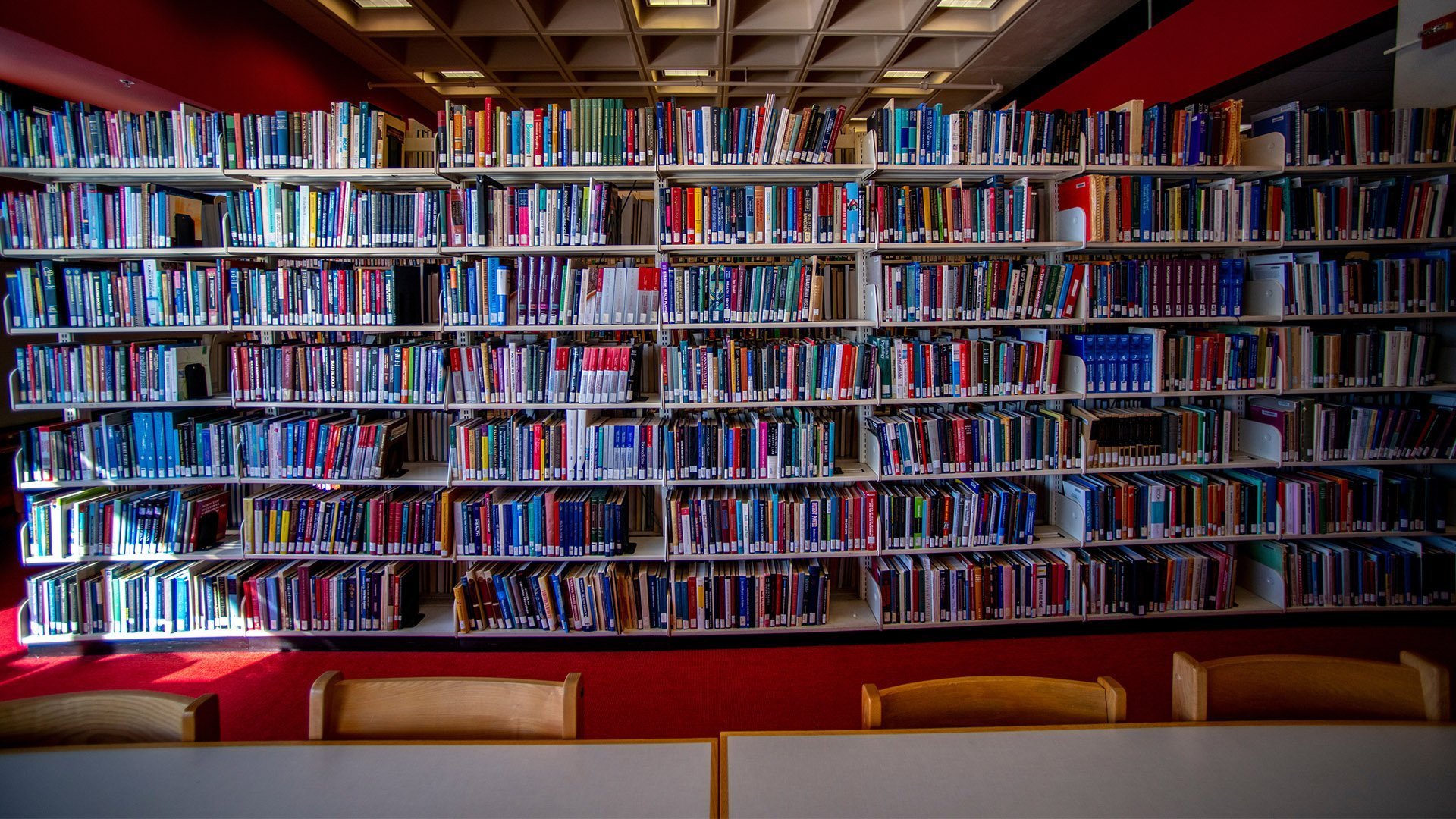 Новеллы библиотека. Библиотека Джона Райлендса. Книжные полки. Библиотека фон. Полка для книг.