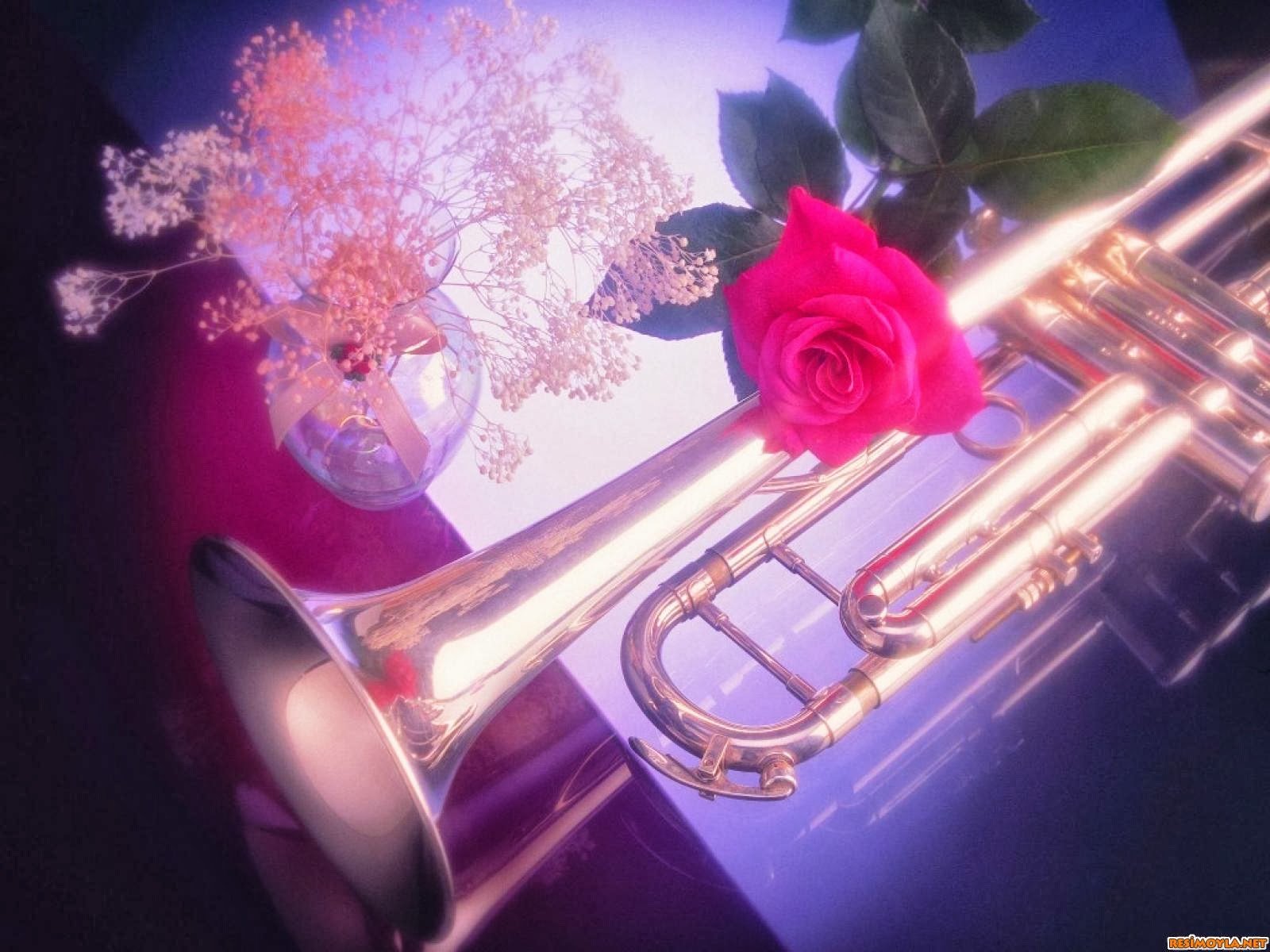 Веселые песни труба. Музыкальная труба. Музыкальные инструменты и цветы. Труба красивая музыкальный. Духовые инструменты и цветы.