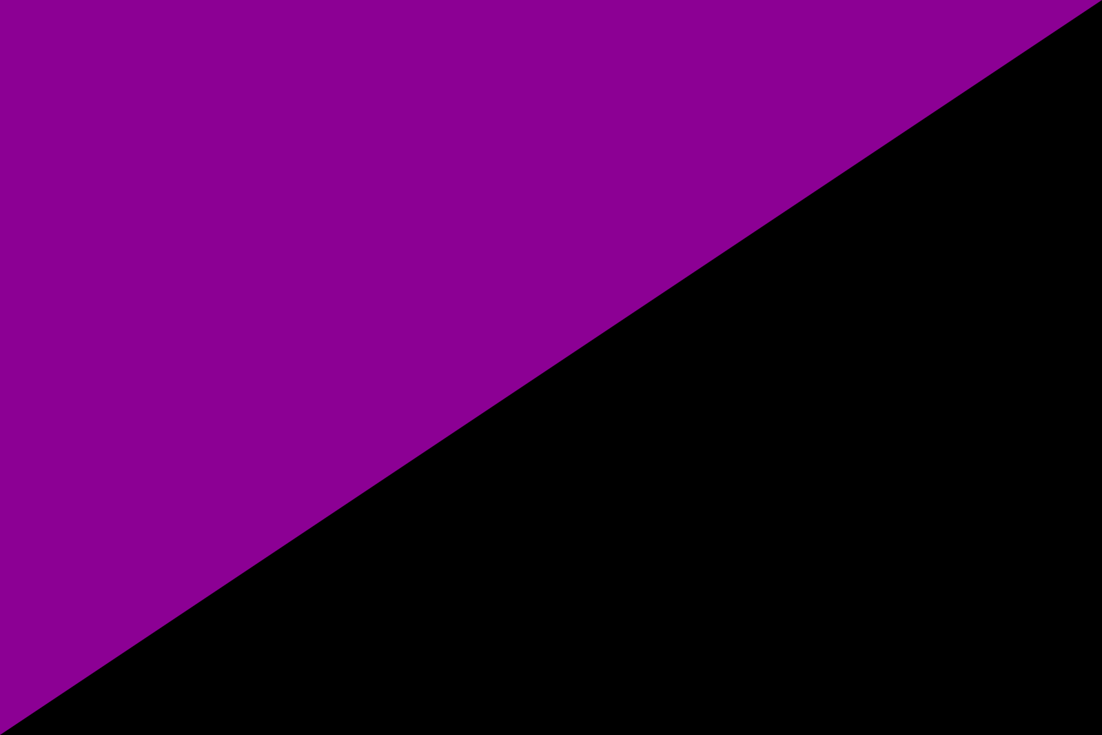 Картинки с двумя цветами. Флаг анархо феминисток. Анархо феминизм флаг. Анархо флаги. Черно фиолетовый.