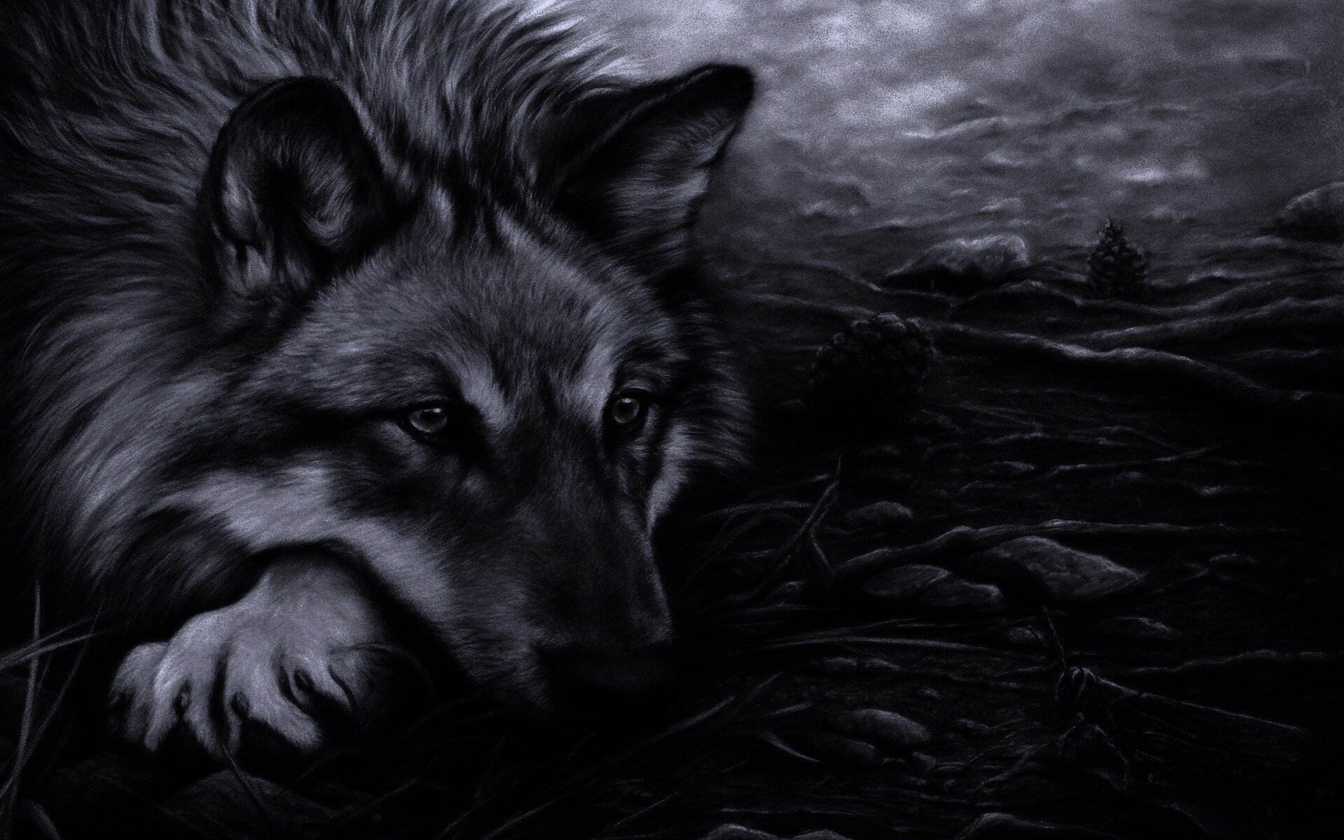 Красивые обои волки. Волк обои. Картинки на рабочий стол волки. Красивый волк. Волк обои на рабочий.